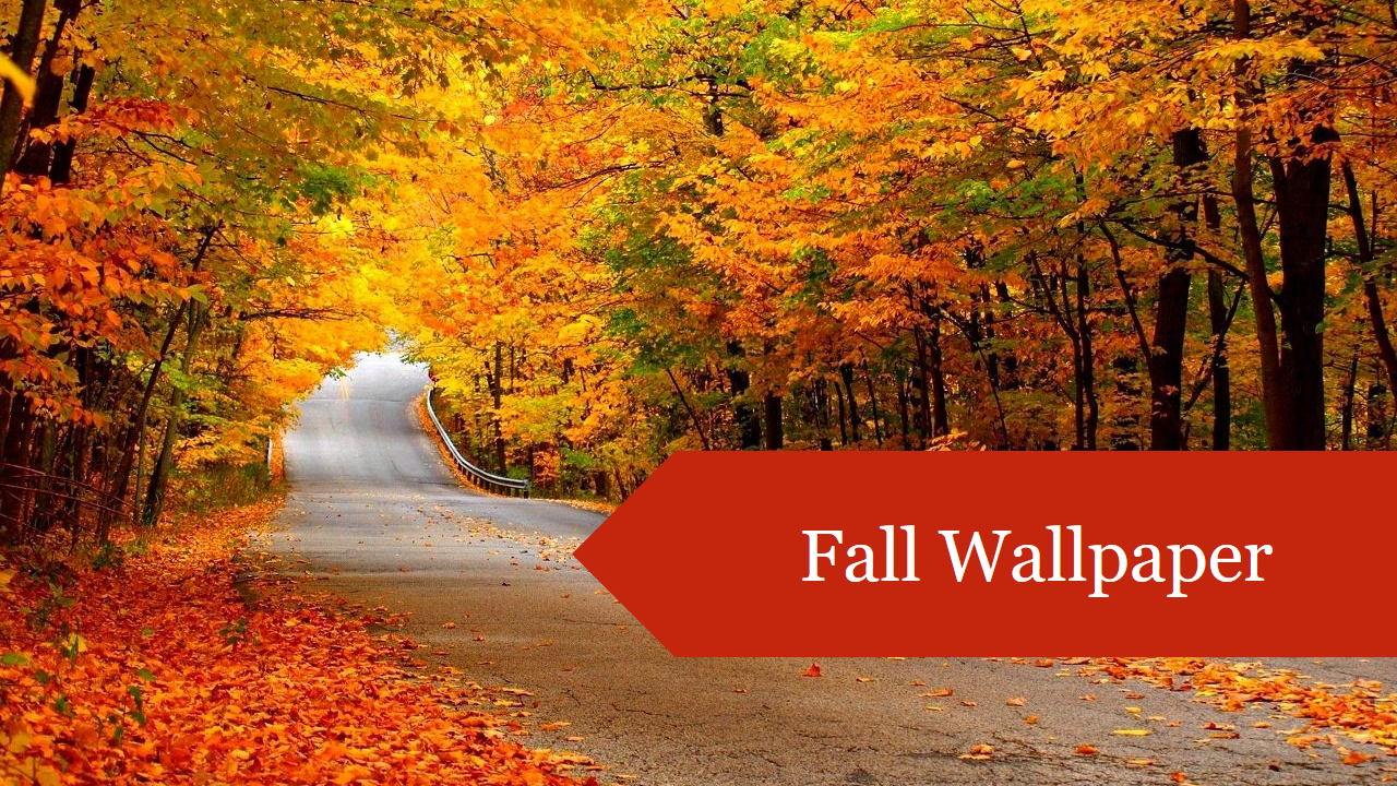 Free - Creative Free Fall Wallpaper PPT Background Slides